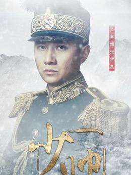 少帅剧情介绍_宅剧情