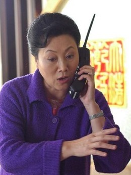 小麦进城剧情介绍_宅剧情