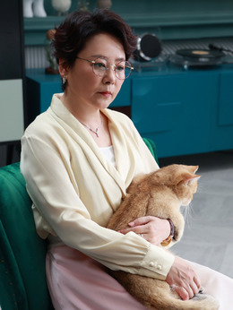 林深见鹿剧情介绍_宅剧情