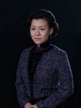 五号特工组之偷天换月剧情介绍_宅剧情