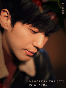 龙城剧情介绍_宅剧情