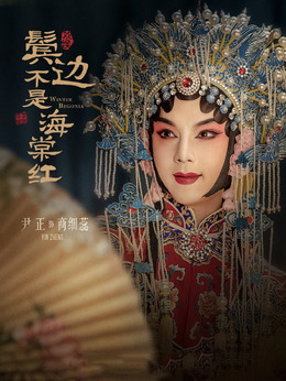 鬓边不是海棠红剧情介绍_宅剧情