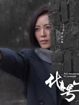 代号·山豹剧情介绍_宅剧情