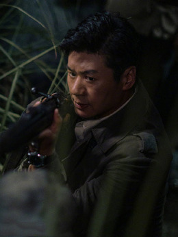 虎胆巍城剧情介绍_宅剧情