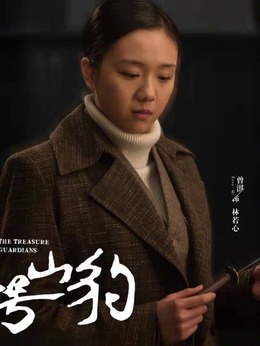 代号·山豹剧情介绍_宅剧情