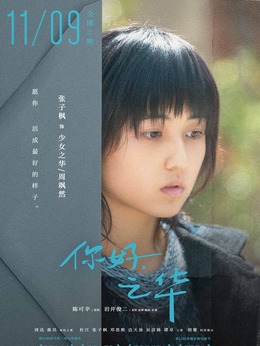 你好，之华剧情介绍_宅剧情