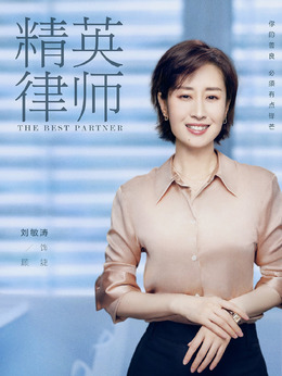 精英律师剧情介绍_宅剧情