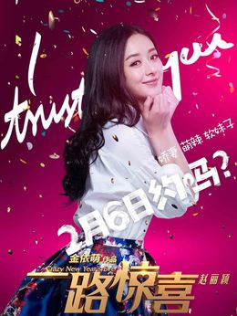 一路惊喜剧情介绍_宅剧情