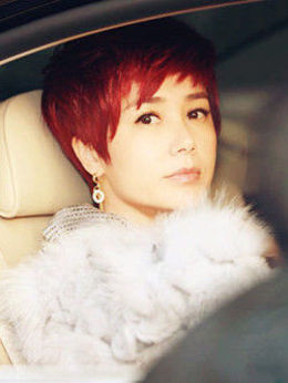 女人帮剧情介绍_宅剧情