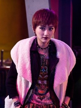 警察故事2013剧情介绍_宅剧情