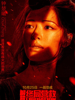 解放·终局营救剧情介绍_宅剧情