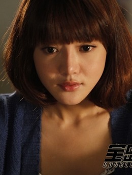 宝岛双雄剧情介绍_宅剧情