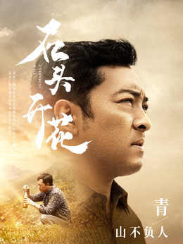 石头开花剧情介绍_宅剧情