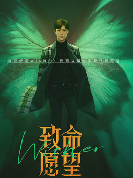 致命愿望剧情介绍_宅剧情