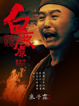 白鹿原剧情介绍_宅剧情