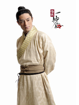 怪侠一枝梅剧情介绍_宅剧情