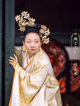 我叫刘金凤剧情介绍_宅剧情