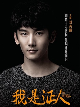 我是证人剧情介绍_宅剧情