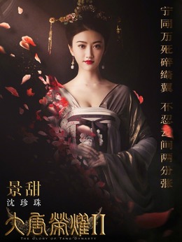 大唐荣耀2剧情介绍_宅剧情