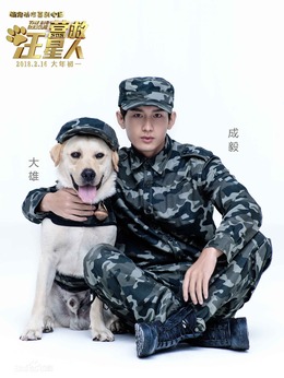 营救汪星人剧情介绍_宅剧情