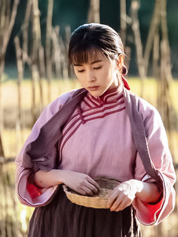 进京城剧情介绍_宅剧情