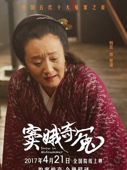 窦娥奇冤剧情介绍_宅剧情