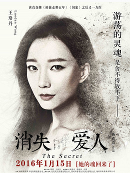 消失的爱人剧情介绍_宅剧情