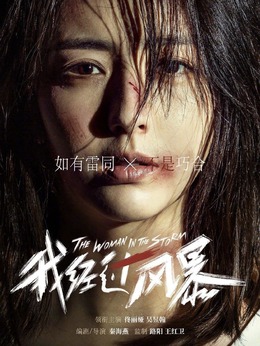 我经过风暴剧情介绍_宅剧情