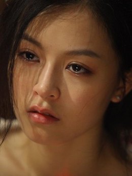 大追捕剧情介绍_宅剧情