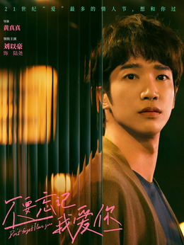 不要忘记我爱你剧情介绍_宅剧情