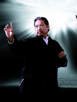 叶问2:宗师传奇剧情介绍_宅剧情