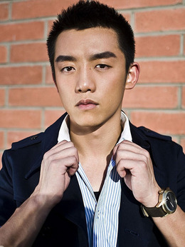 喜羊羊与灰太狼之飞马奇遇记剧情介绍_宅剧情