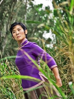 家有喜事2009剧情介绍_宅剧情