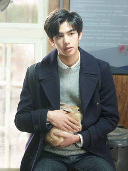 我的青春都是你剧情介绍_宅剧情