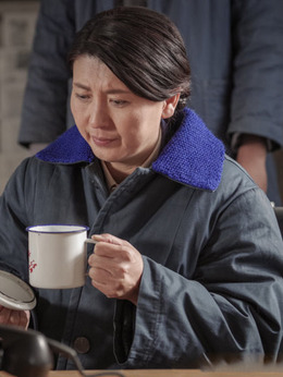 远方的山楂树剧情介绍_宅剧情