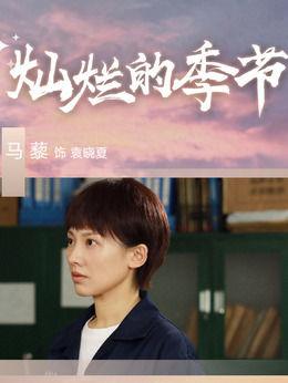 灿烂的季节剧情介绍_宅剧情