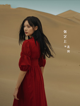 西出玉门剧情介绍_宅剧情