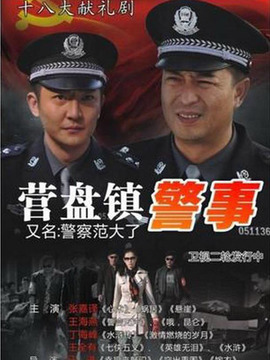 营盘镇警事剧情介绍_宅剧情