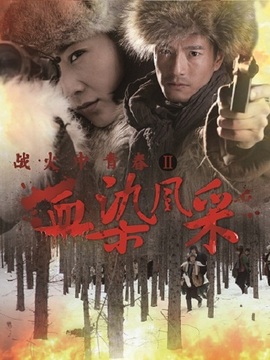 战火中青春之血染风采剧情介绍_宅剧情