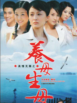 真情无限之养母生母剧情介绍_宅剧情