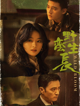 风吹半夏剧情介绍_宅剧情