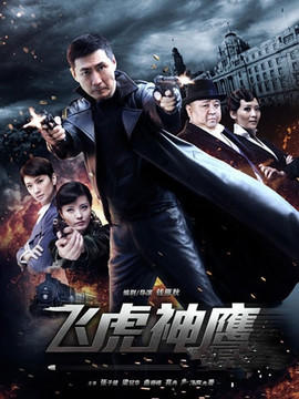 飞虎神鹰剧情介绍_宅剧情