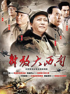 解放大西南剧情介绍_宅剧情