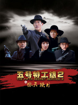 五号特工组之偷天换月剧情介绍_宅剧情