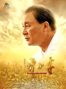 历史转折中的邓小平剧情介绍_宅剧情