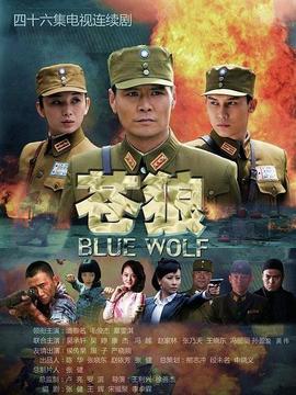 苍狼剧情介绍_宅剧情