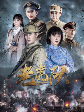 老虎队剧情介绍_宅剧情