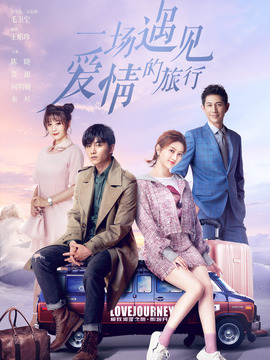 一场遇见爱情的旅行剧情介绍_宅剧情