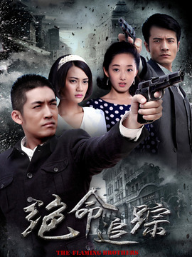 绝命追踪剧情介绍_宅剧情