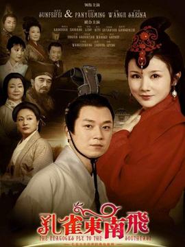 孔雀东南飞剧情介绍_宅剧情